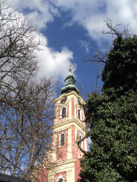 photo 1309449