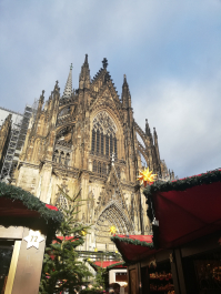 photo 1722558