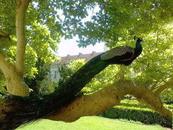 photo 1754147