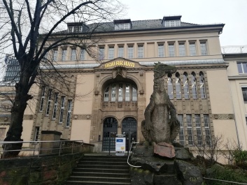 photo 2047134