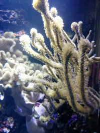 photo 2046785