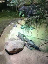 photo 2046947