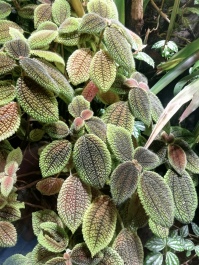 photo 2046948
