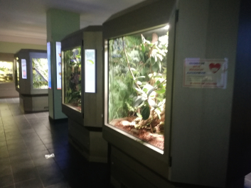 photo 2046949