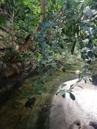 photo 2046950