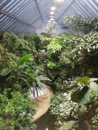 photo 2046951