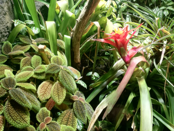 photo 2046952