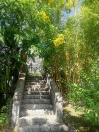 photo 2059645