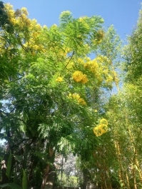 photo 2059646