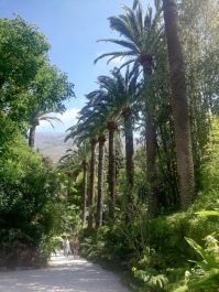 photo 2059648