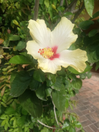 photo 2060399