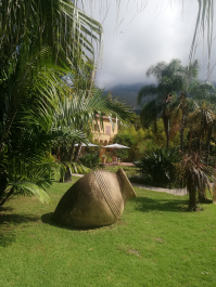 photo 2060403