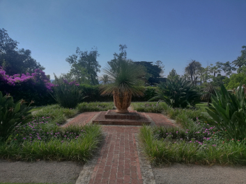 photo 2061584