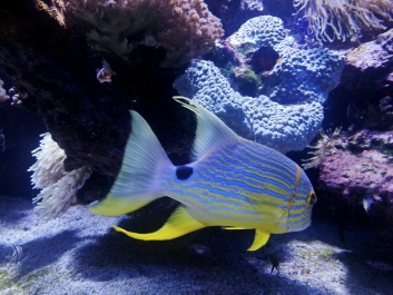 photo 2058794