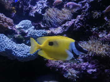 photo 2058796