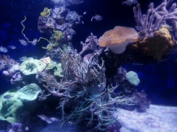 photo 2058797
