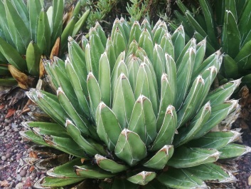 photo 2061405