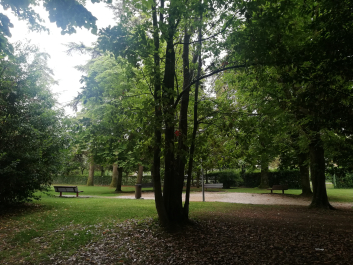 photo 2063827