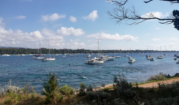 IMG_20220710_103045