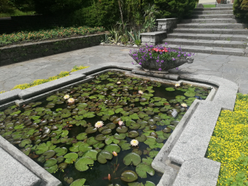 photo 2064236