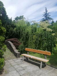 photo 2064581