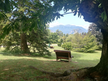 photo 2066377