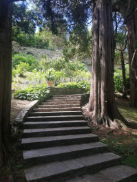 photo 2067737