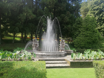 photo 2067807