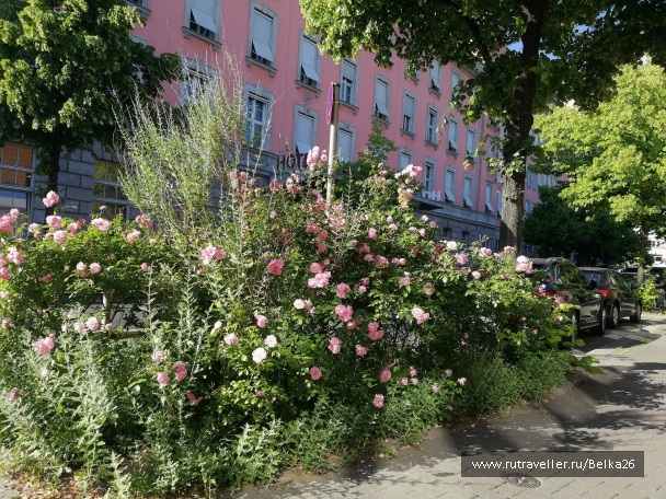 photo 2116668