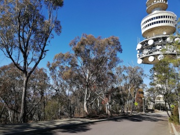 photo 2120573