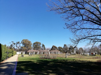 photo 2126974