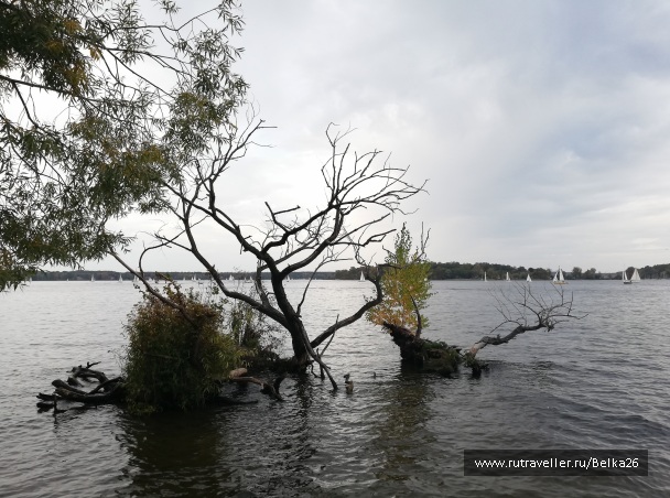 photo 2116670