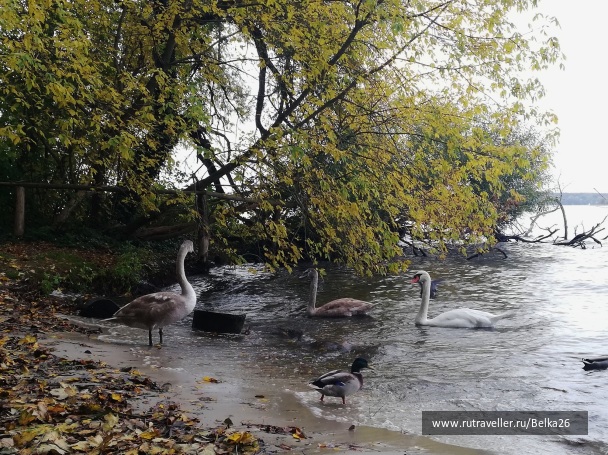 photo 2116752