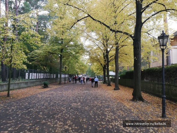 photo 2117104