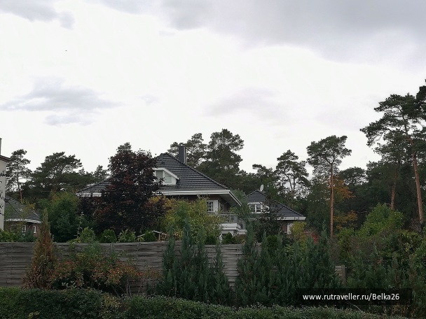 photo 2117456