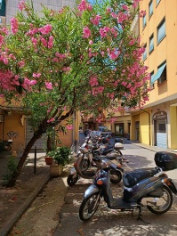 photo 2111427
