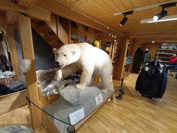 photo 2128381