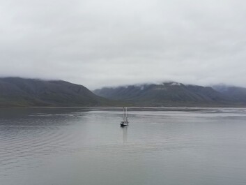 photo 2131629