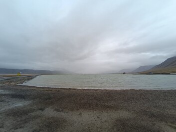 photo 2131904