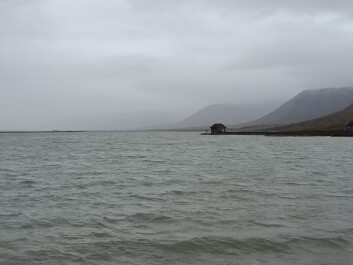 photo 2131918
