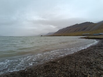 photo 2131920