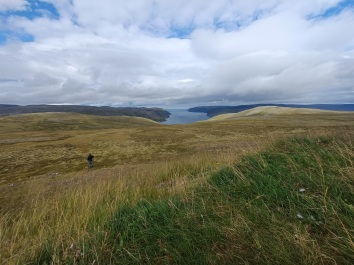 photo 2128839