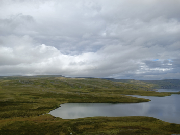 photo 2130761