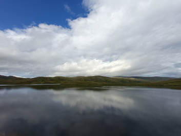 photo 2130763
