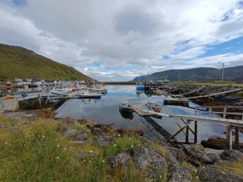 photo 2131464