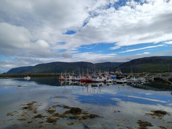 photo 2132071