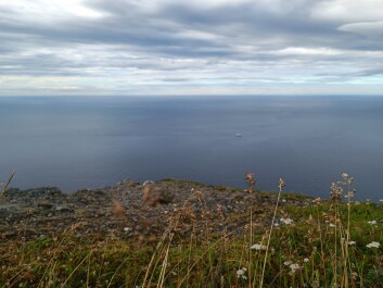 photo 2142220