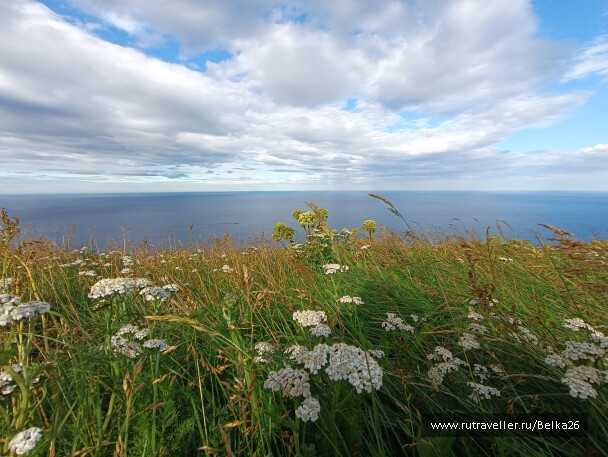 photo 2142581