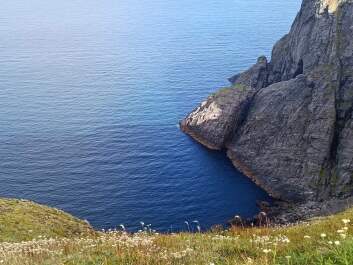 photo 2144072