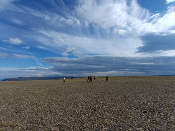 photo 2145820